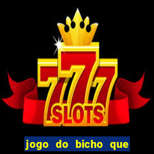 jogo do bicho que paga no pix
